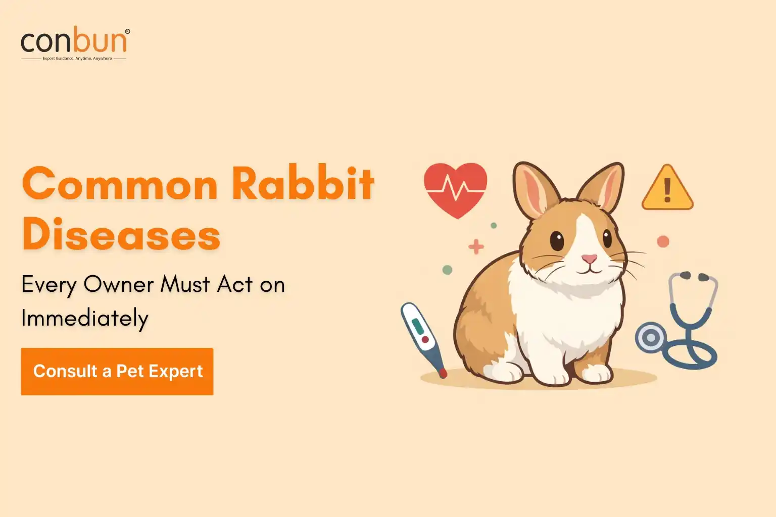 Common Rabbit Diseases: Every Owner Must Act on Immediately